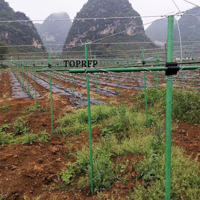 FRP Vineyard Grape Tree Tomato Nursery Fiberglass Stakes
