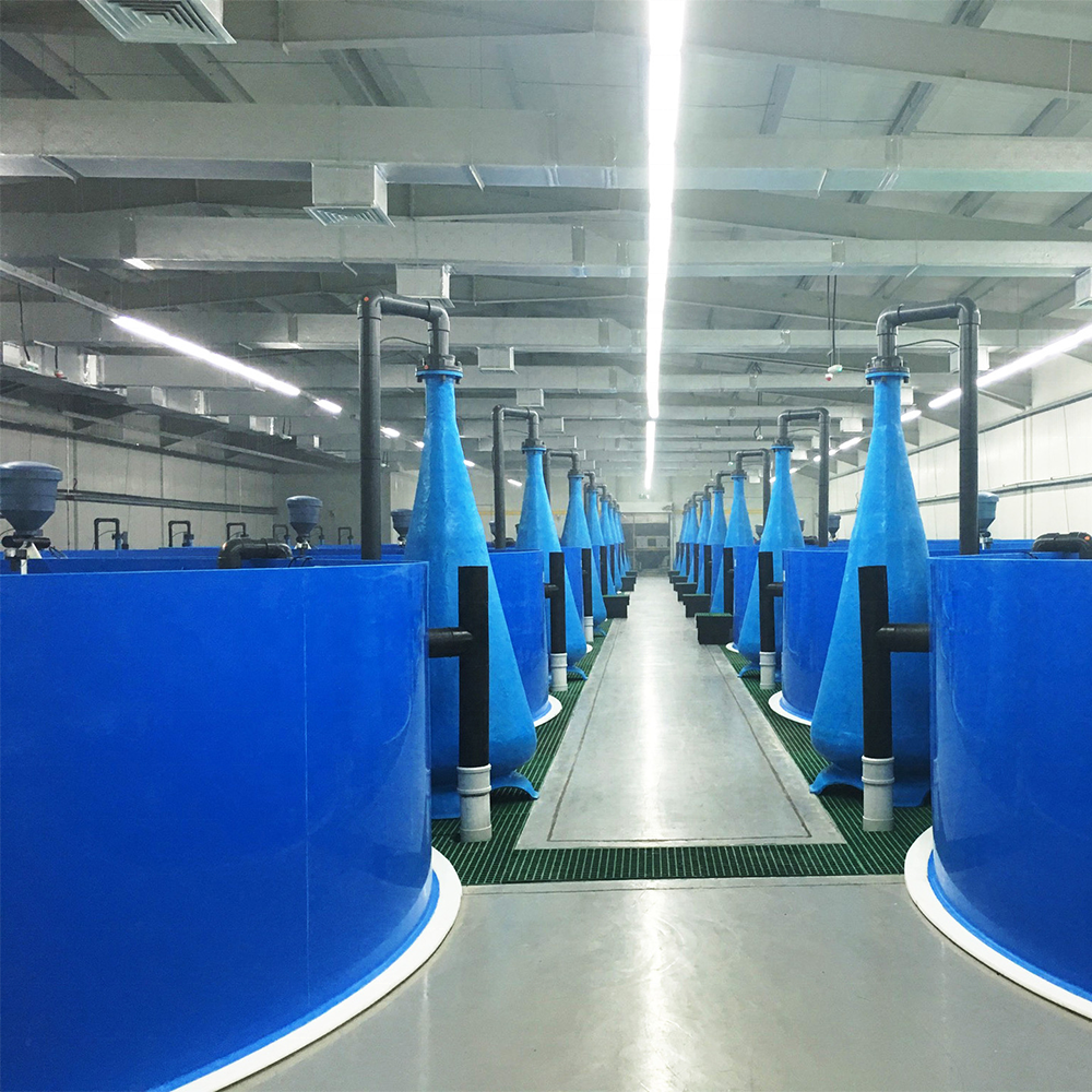 ZSPE Hot Sale High Quality round Blue PP Plastic Aquaculture Tank for Fish Farming and Fish Breeding