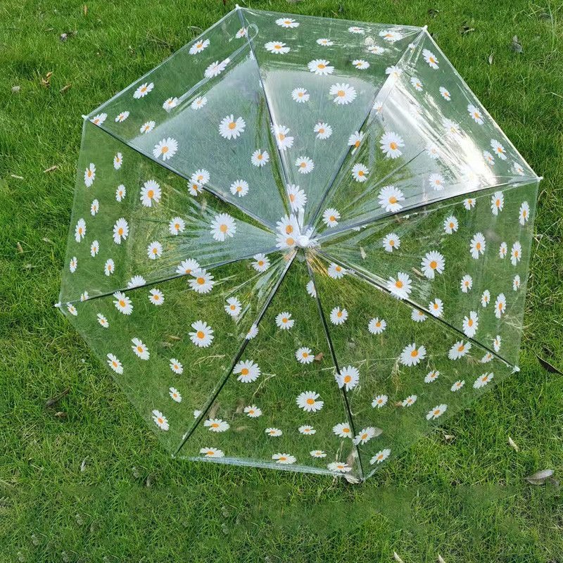 GG410 Creative 8 Bone Long Handle Umbrella Full-automatic Straight Rod Umbrellas Daisy Pattern Print Clear Umbrella
