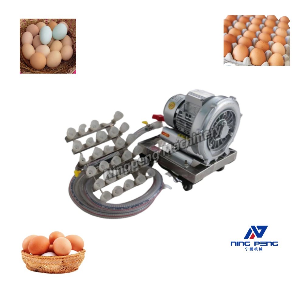 Vacuum egg lifter egg candling table and transfer machine automatic egg grading machine