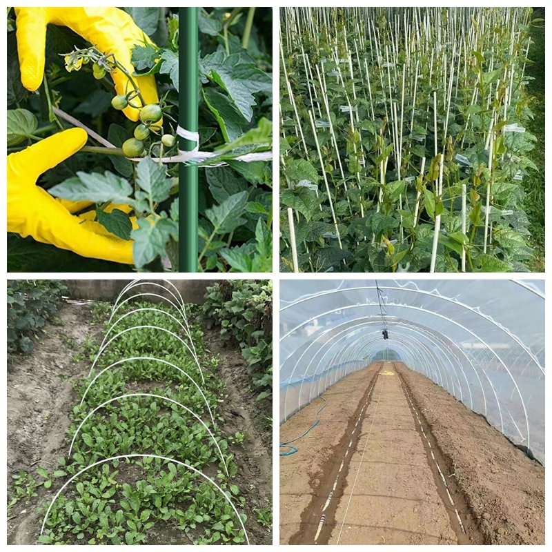 Non rust FRP GRP fiberglass solid stake pole agriculture tomato planting glass fiber rods