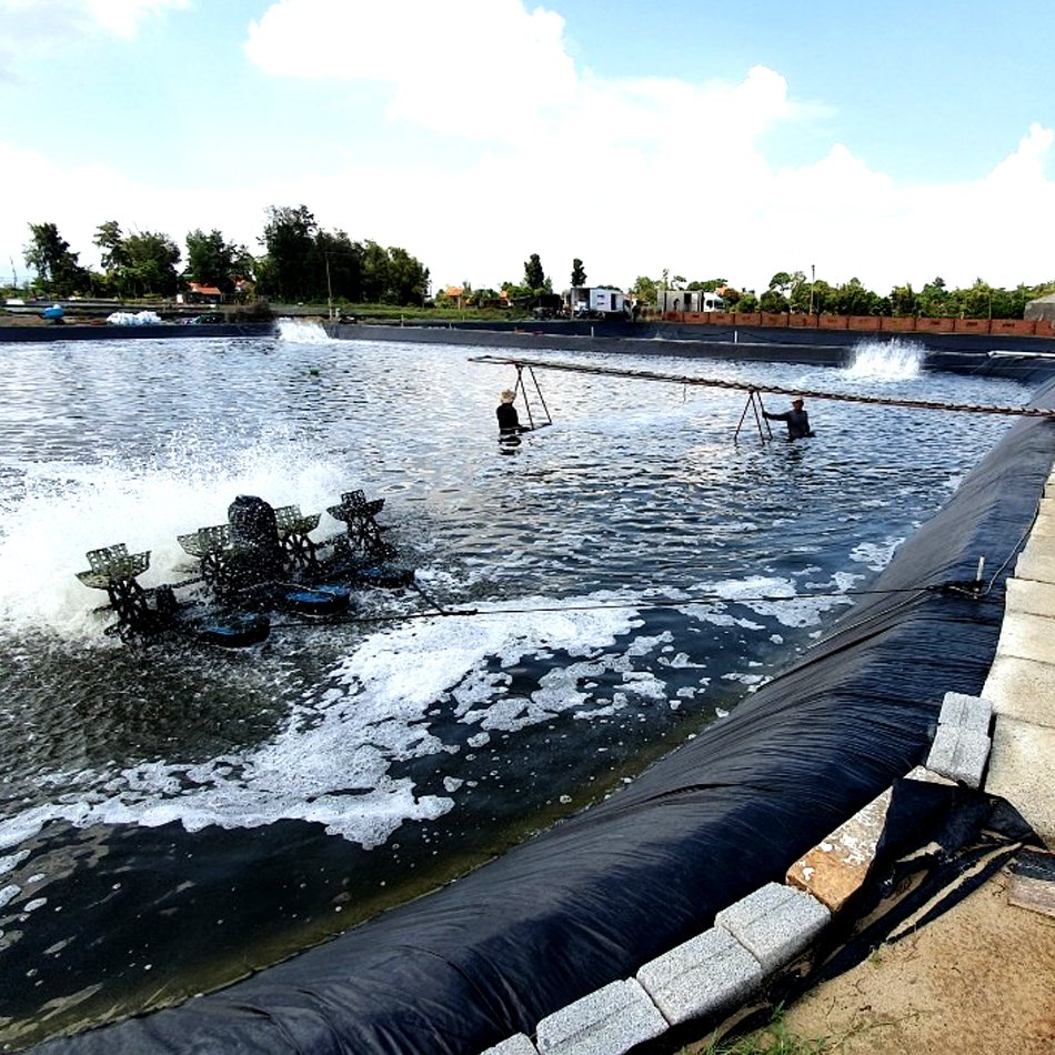 HDPE waterproof geomembrana 2 mm green blue membrane lining sheet for ponds