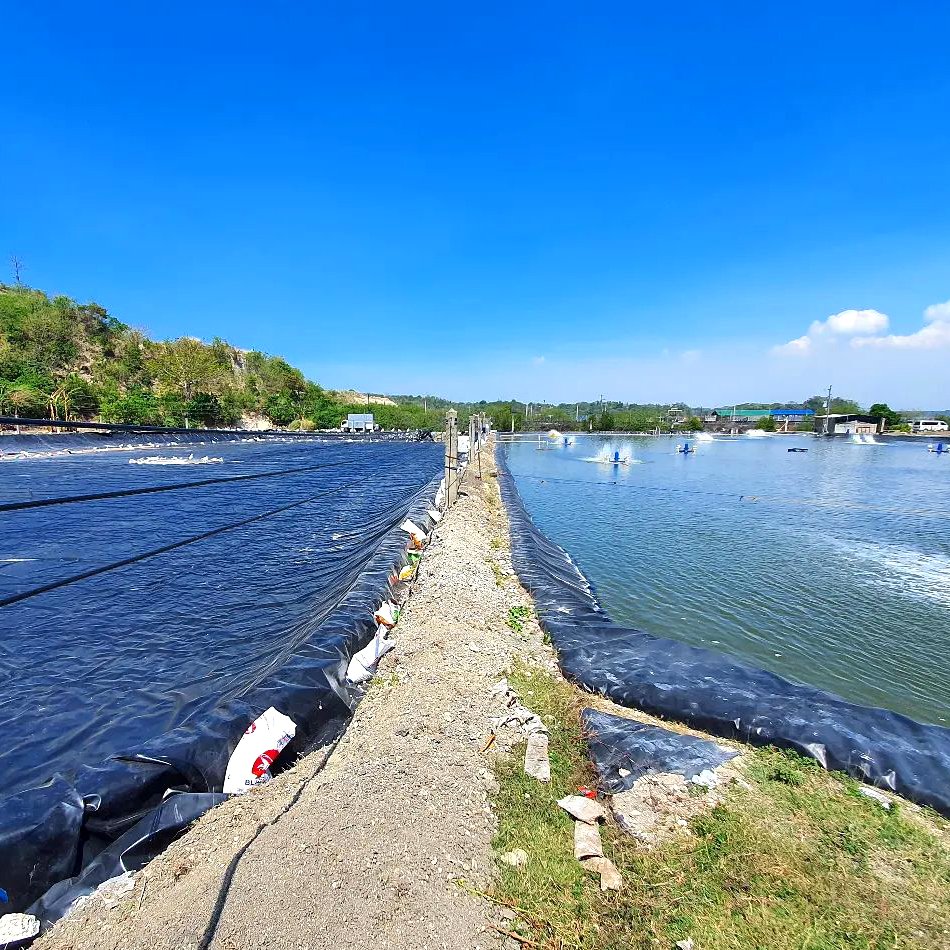 HDPE waterproof geomembrana 2 mm green blue membrane lining sheet for ponds
