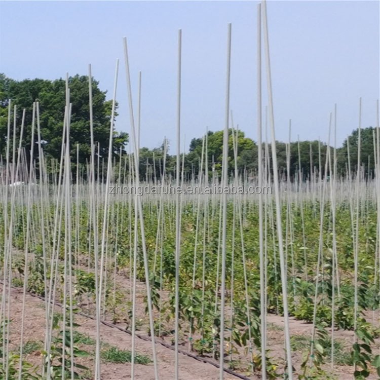 Fiberglass stakes for agriculture planting customized fiberglass stakes