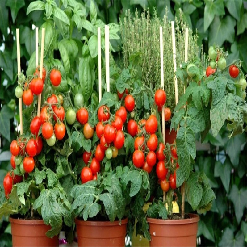 fiber reinforced plastic rod glass fibre stakes for nursery and planting