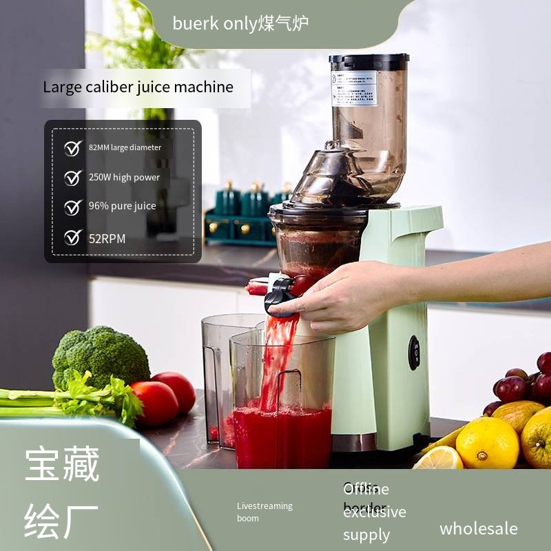 Home Juicer Squeezer Electric Juicer With Powerful Slow Juicer Extractor Big Mouth