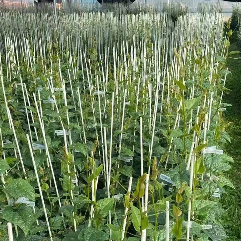 Factory Direct Sale Cheap Price Fiberglass Rod High Strength Black Fiberglass Rods Solid Fiberglass Rod