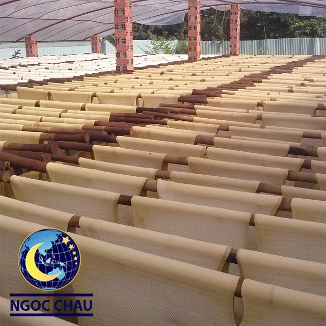 Best Quality RSS3 Rubber Sheet Direct Factory in Vietnam Smoked and Ribbed for Rubber Tube Tyre Conveyor Belt
