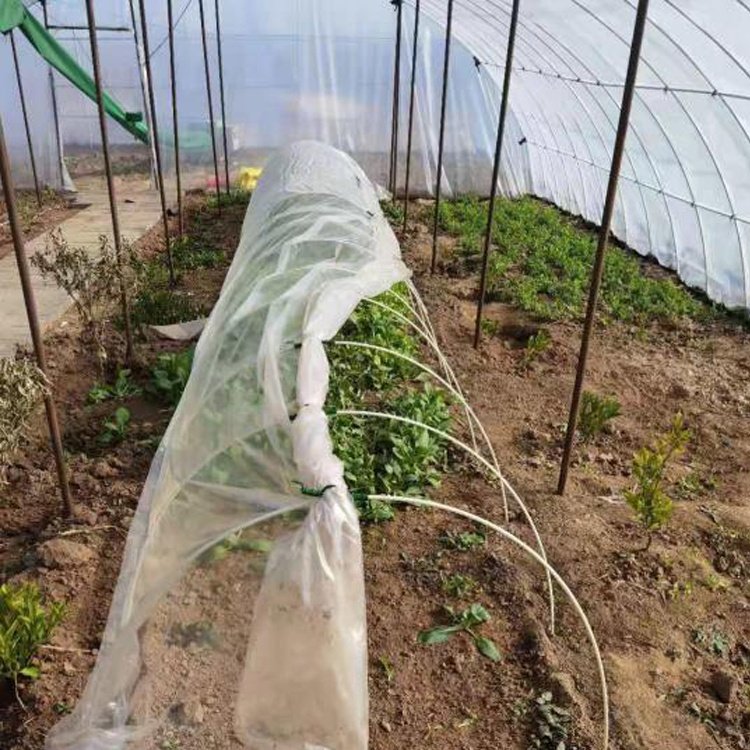 Flexible Round Fiberglass Rods Vegetable Shed Support Elastic Solid Glass Fiber Rods For Garden