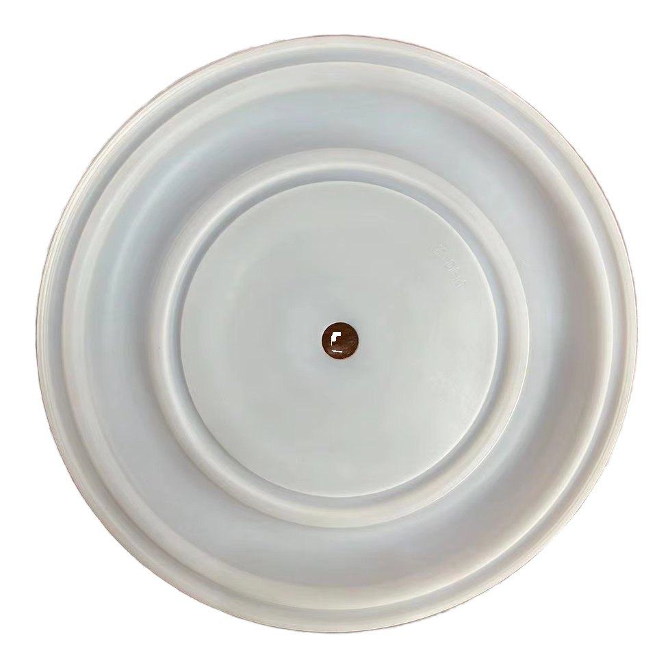 Diaphragm Pump Parts Mountain pass rubber diaphragm 08-1040-55 PTFE Wilden diaphragm pump 10415