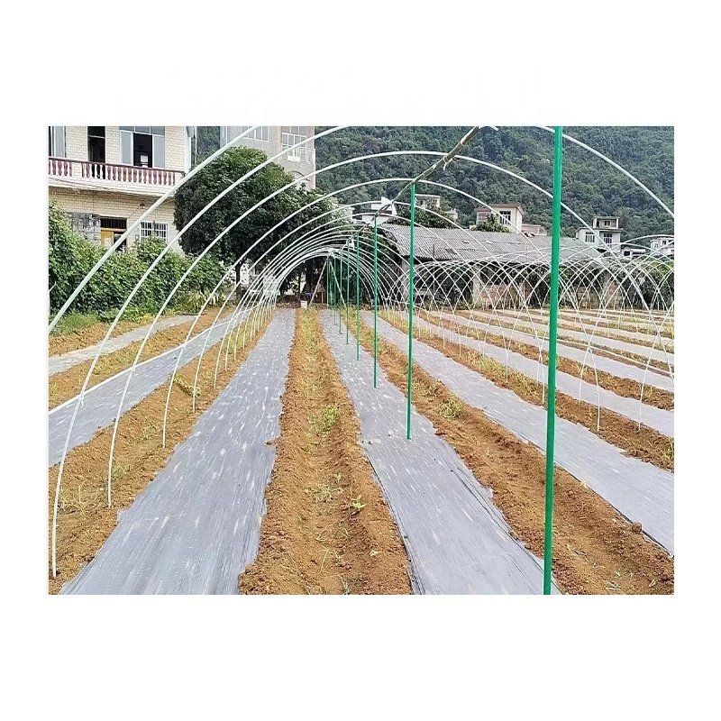 Haoli UV Resistance Fiberglass Plant Growing Support Stake, Fiberglass Poles For Greenhouse