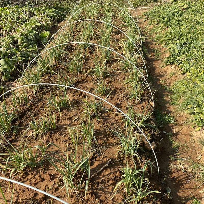 Factory Hot Selling Glass Fiber FRP Stake Fiberglass Round Solid Rod For Farm Floral Plant Support