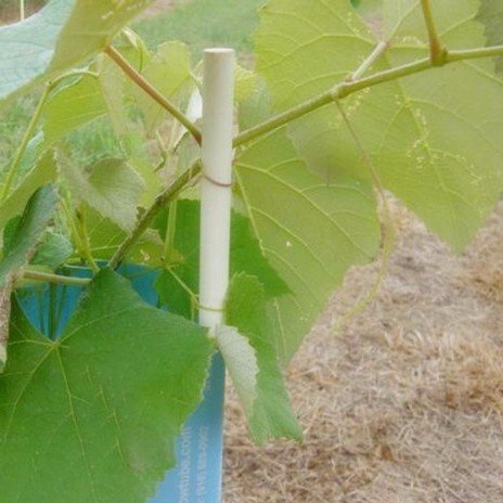 High Quality Solid Fiberglass Rods Custom Sized For Agricultural Outdoor Tent Support Rods