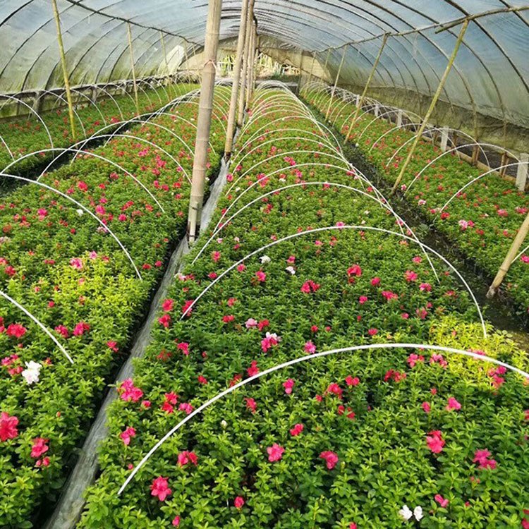 High quality 4 5 6 7 8 10 mm 1 meter fiberglass stick solid glass fiber rod for garden farmland