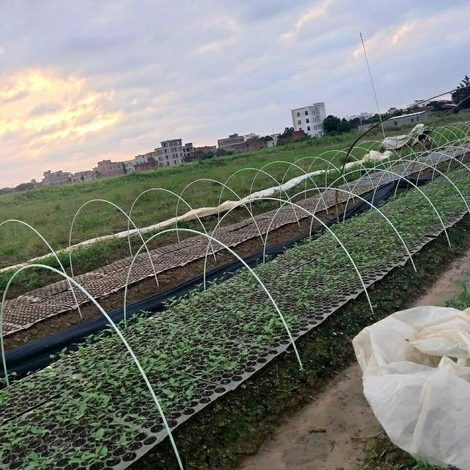 Wholesale Epoxy Smooth Fiber Glass Poles Agricultural Solid Fiberglass FRP Rod For Greenhouse Plant