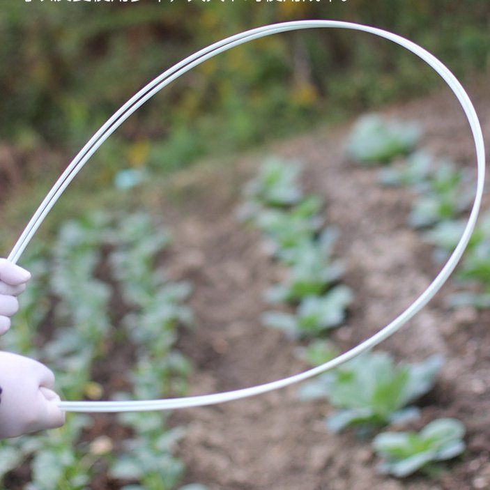 Wholesale Epoxy Smooth Fiber Glass Poles Agricultural Solid Fiberglass FRP Rod For Greenhouse Plant