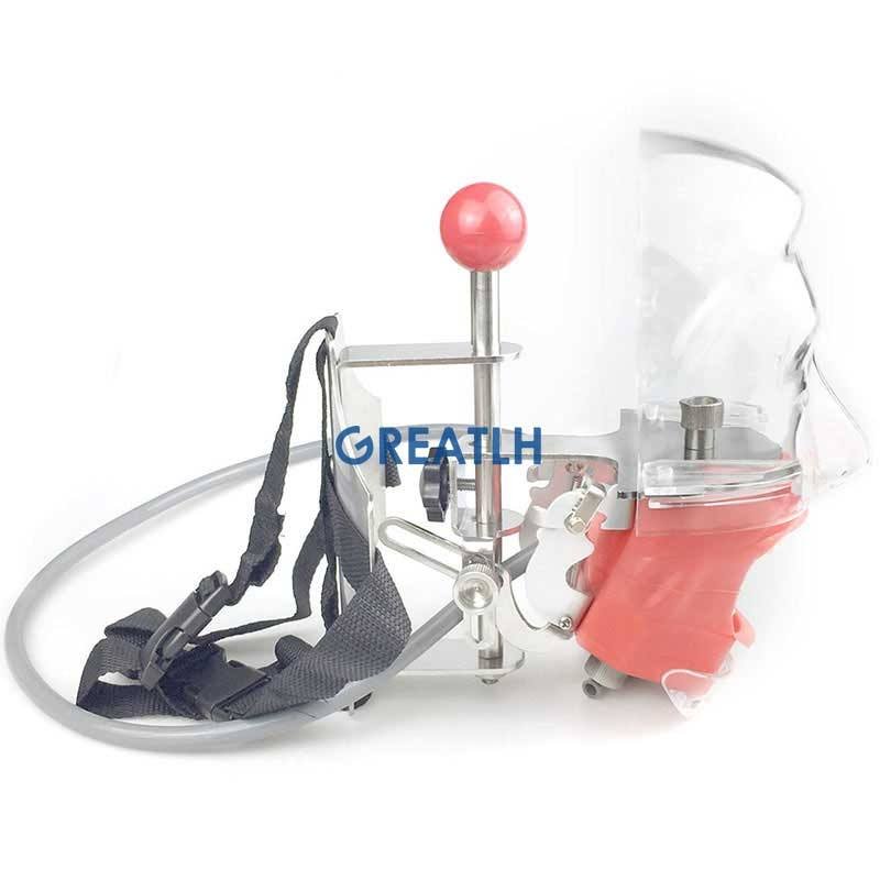 Dental Training Simulator Phantom Head With Replacement Typodont Teeth Model Manikin Head Dentistry dental Equipments