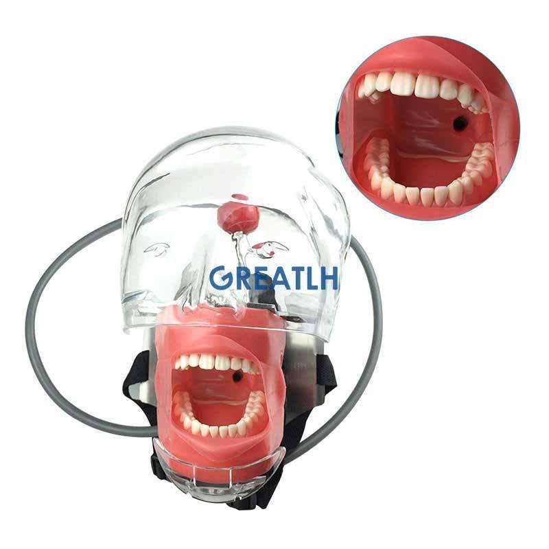 Dental Training Simulator Phantom Head With Replacement Typodont Teeth Model Manikin Head Dentistry dental Equipments