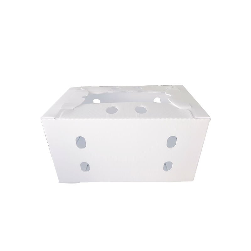 vegetable boxes plastic box for vegetables plastic okra packing box