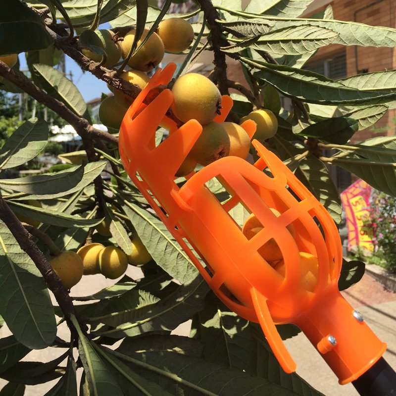 High-Altitude Fruit Picker Loquat Bayberry Persimmon Orchard Picking Tools Including Mango Collector Fruit Picker Baskets