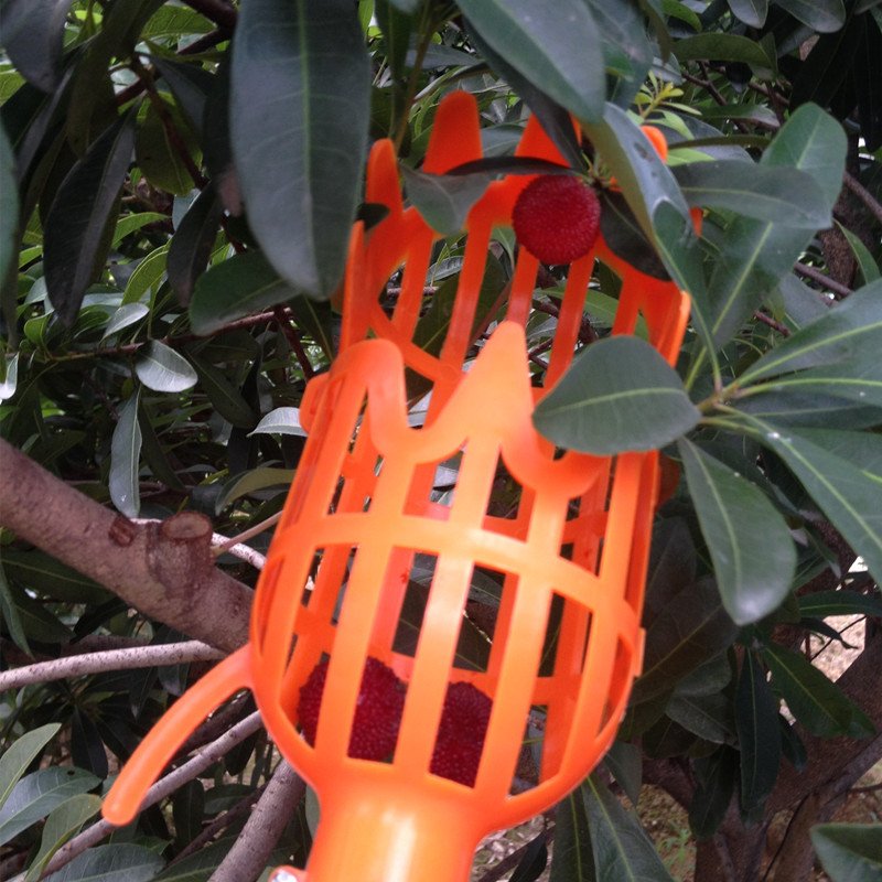 High-Altitude Fruit Picker Loquat Bayberry Persimmon Orchard Picking Tools Including Mango Collector Fruit Picker Baskets