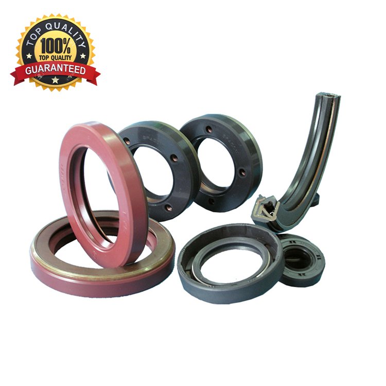 Wholesale Custom Engine Valve Oil Seal Rotary Shaft Lip Bearing Dust Seal Automotive Rubber Skeleton Screw Compressor Oil Seal