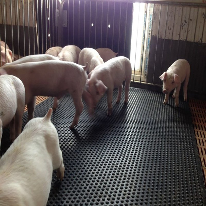 Durable and comfortable Dairy cow horse stable stall animal rubber flooring mat