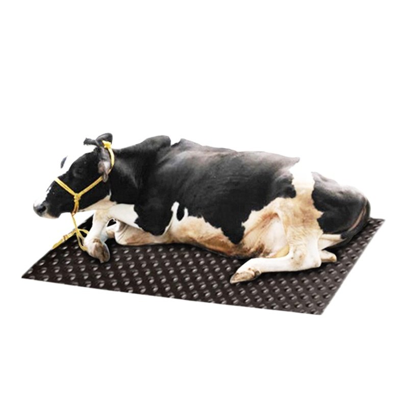 Durable and comfortable Dairy cow horse stable stall animal rubber flooring mat