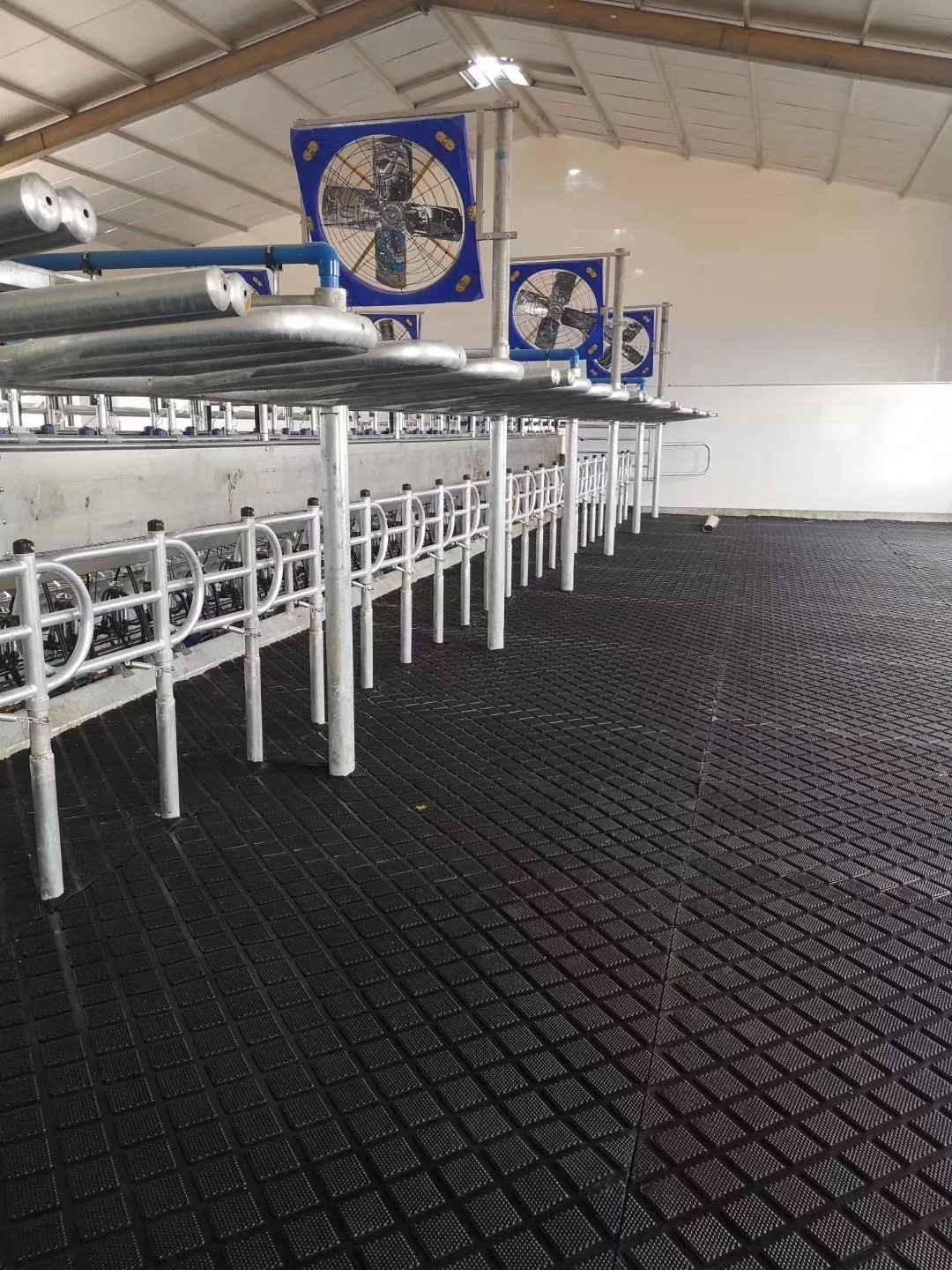 Durable and comfortable Dairy cow horse stable stall animal rubber flooring mat