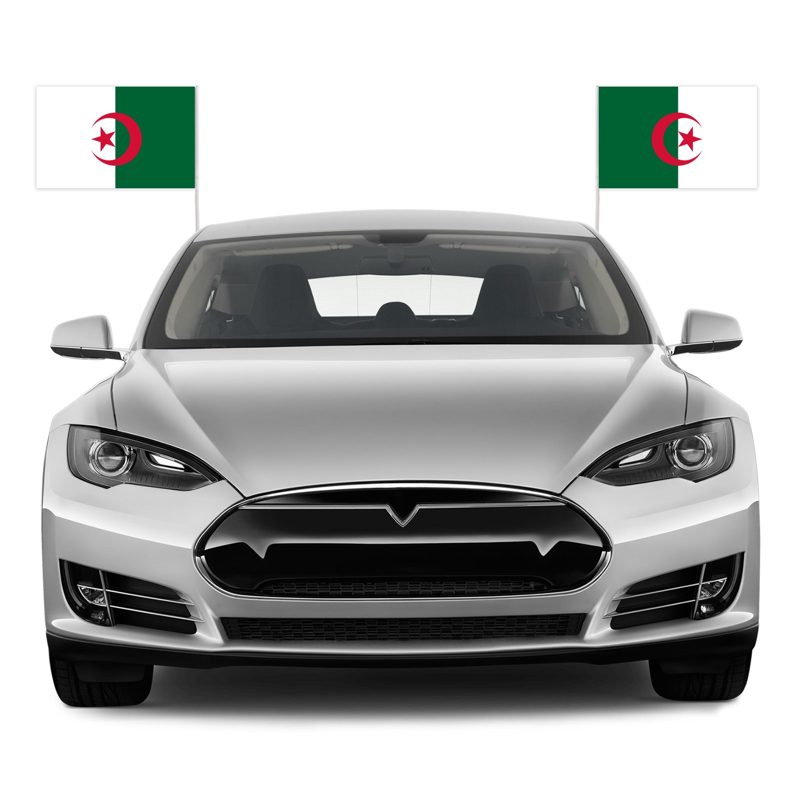 Custom-sized Promotional Algeria Car Flag 12 x 18 Personalized Polyester Car Window Flag with Plastic Rod