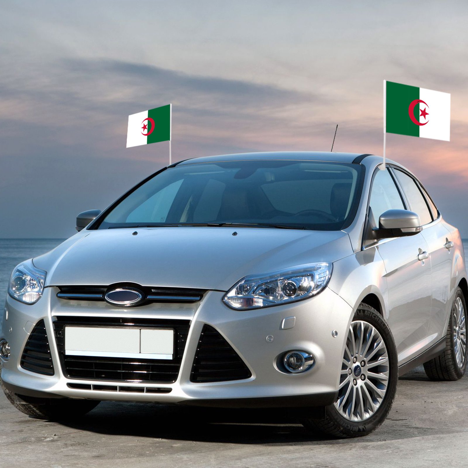 Custom-sized Promotional Algeria Car Flag 12 x 18 Personalized Polyester Car Window Flag with Plastic Rod