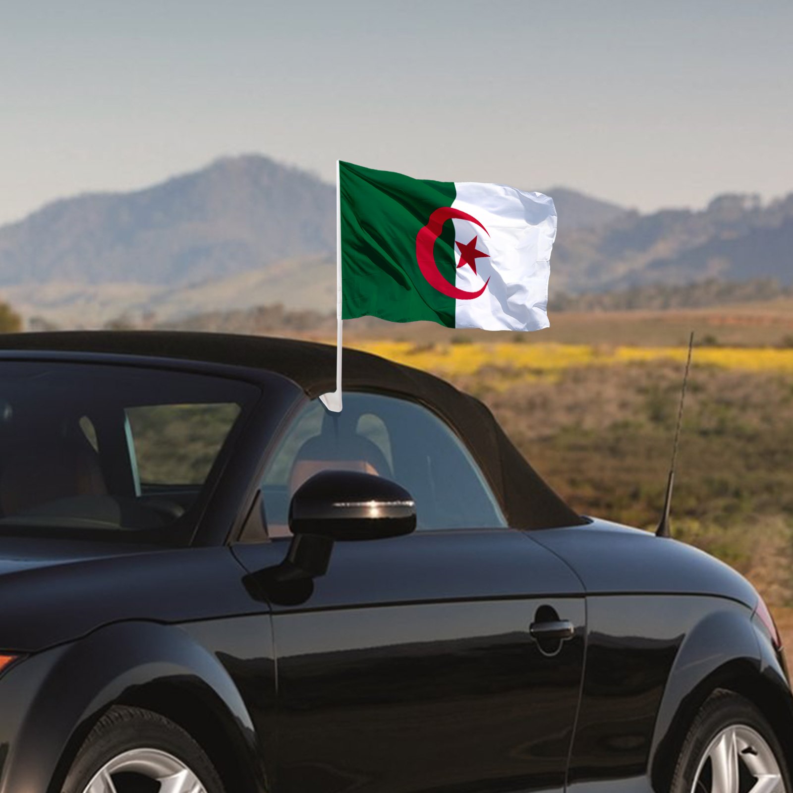 Custom-sized Promotional Algeria Car Flag 12 x 18 Personalized Polyester Car Window Flag with Plastic Rod
