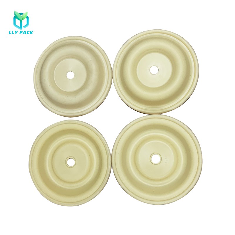Wholesale Price Diaphragm Pump Spare Parts Santoprene Valve Rubber Diaphragms