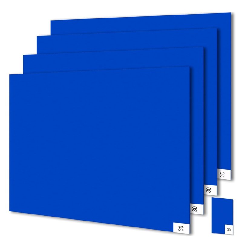AEGIRSAFE Layers Disposable Blue Sticky Mat
