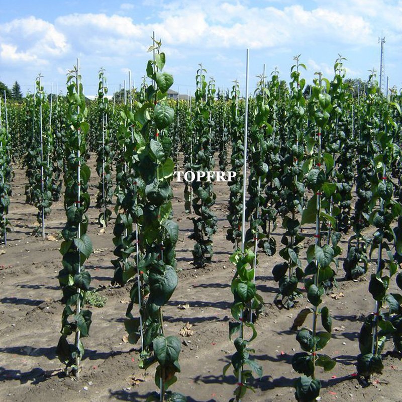 Flexible Fiberglass Rod Customize FRP Reinforced Plastic Rods For Planting