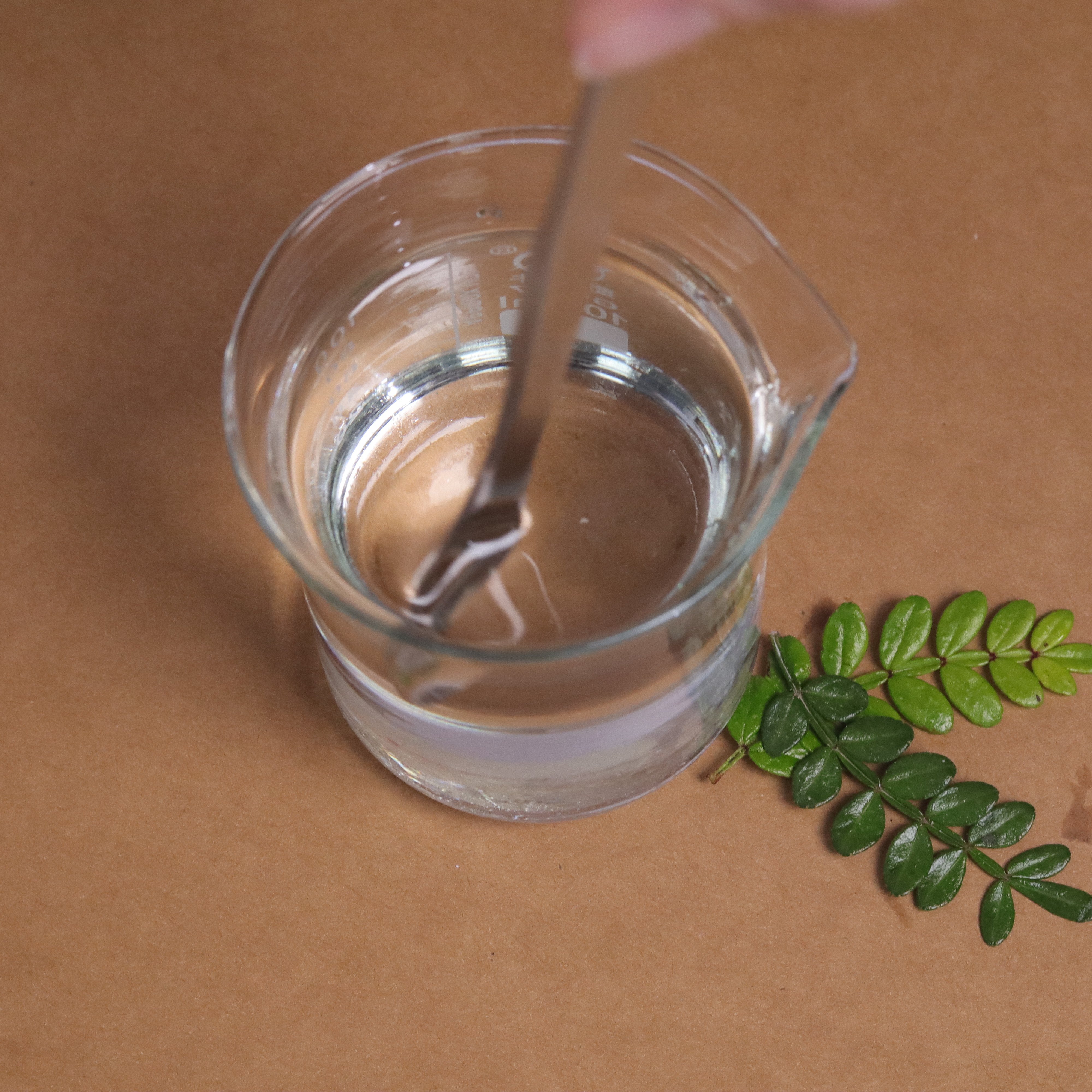 Cosmetic Grade PEG-8 Caprylic/Capric Glycerides Grease PGCC-8 Moisturizing Daily Chemicals Raw Materials