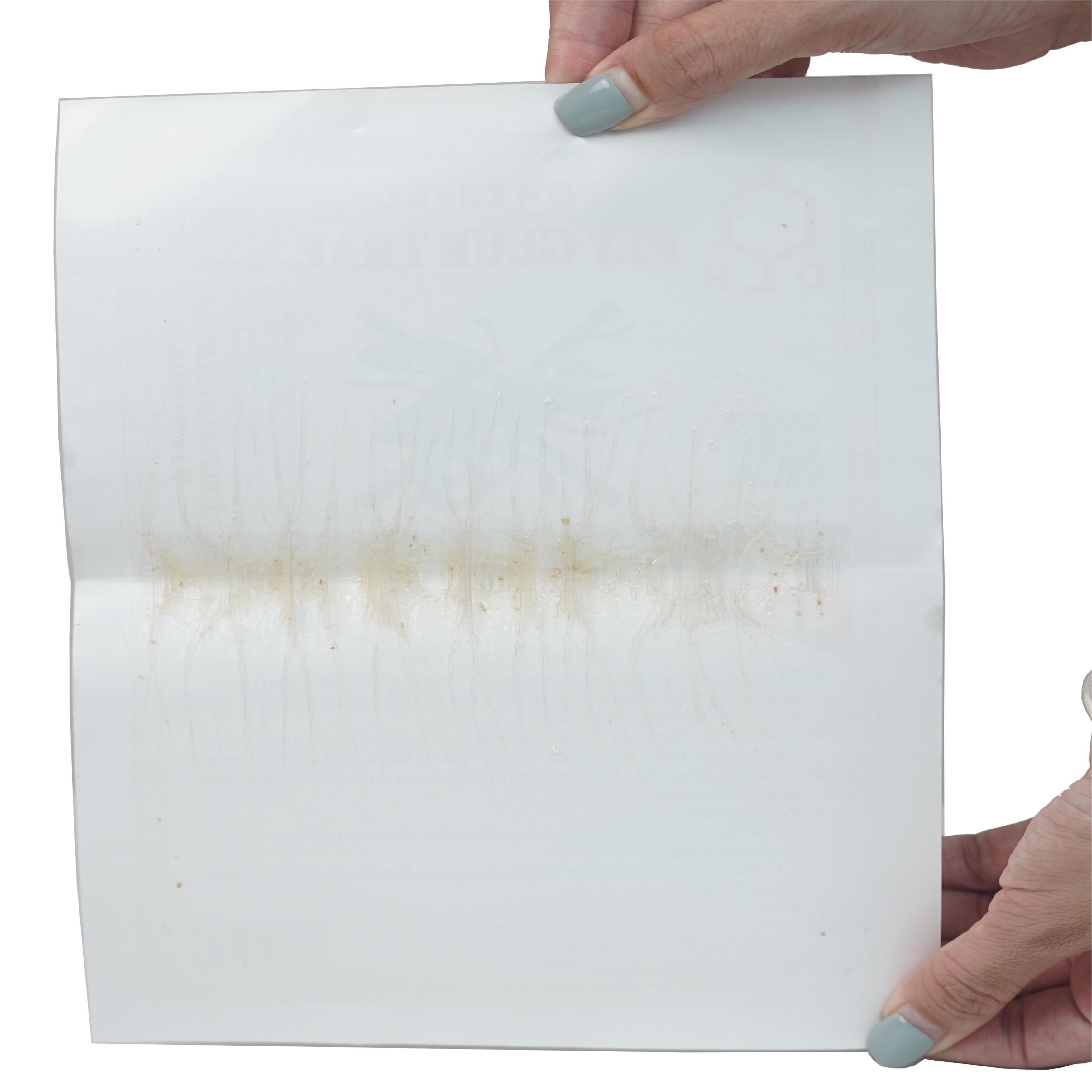 Flying Glue Economical Environmental Fly Glue Trap