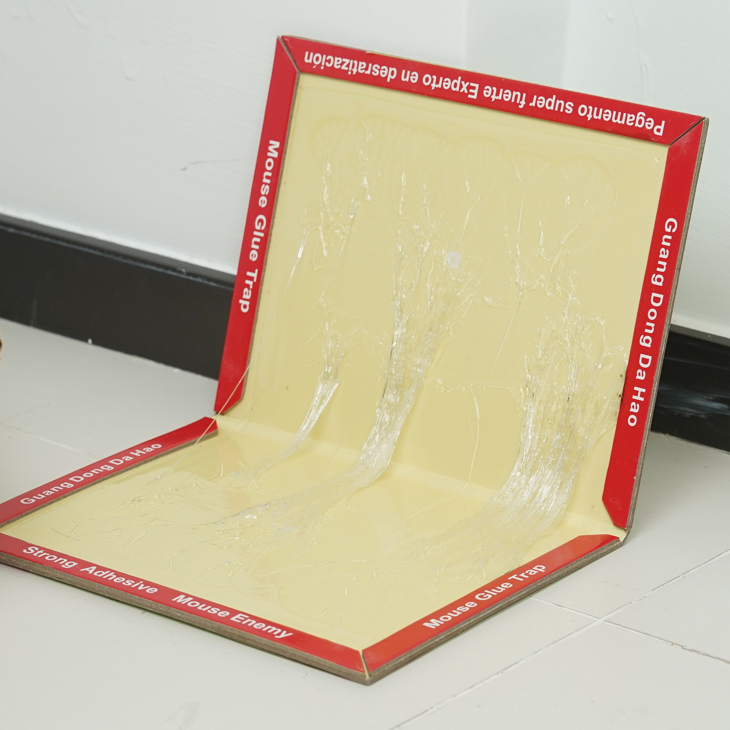 Rat killer mouse glue trap