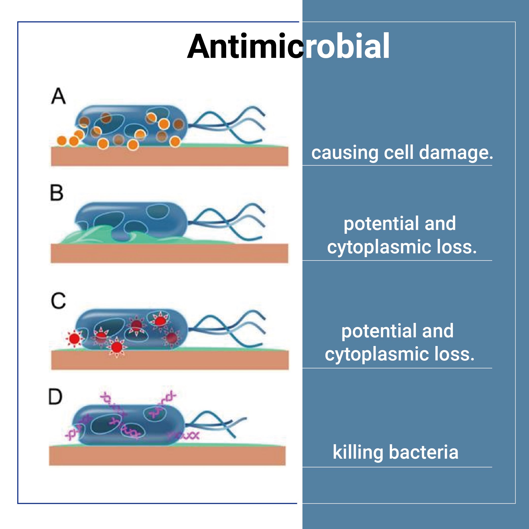 Nano antimicrobial agent Daily Clean