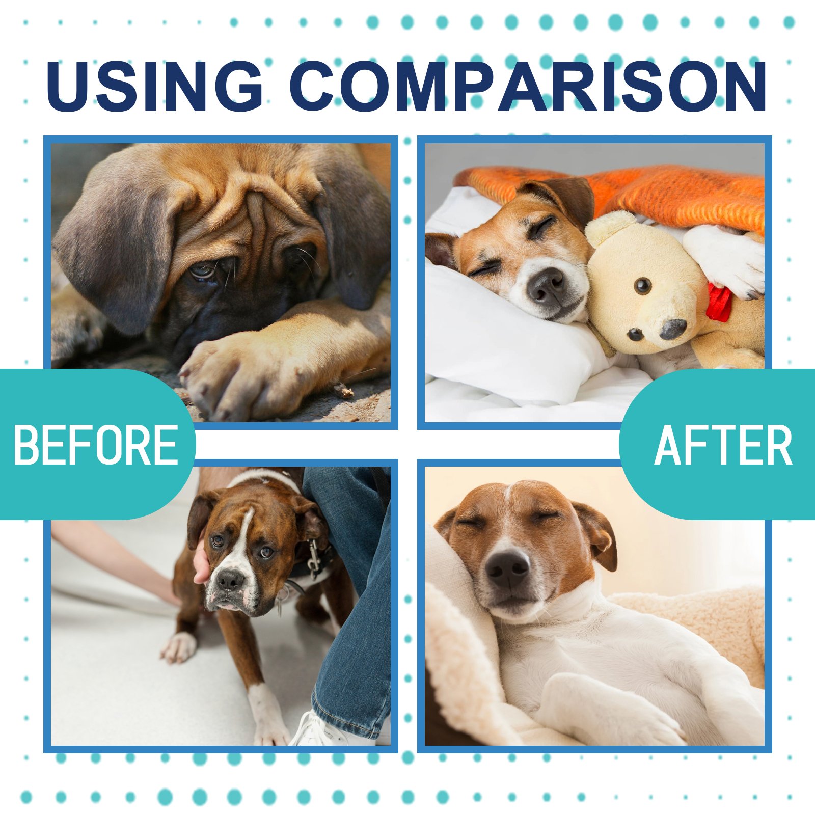 Yegbong A Pet Care Relieve Stress Pet Care Supplies Calming Eco-friendly Pet Calming Liquid