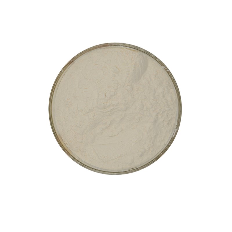 Food Grade Polyglutamic Acid Powder for Daily Chemicals Product