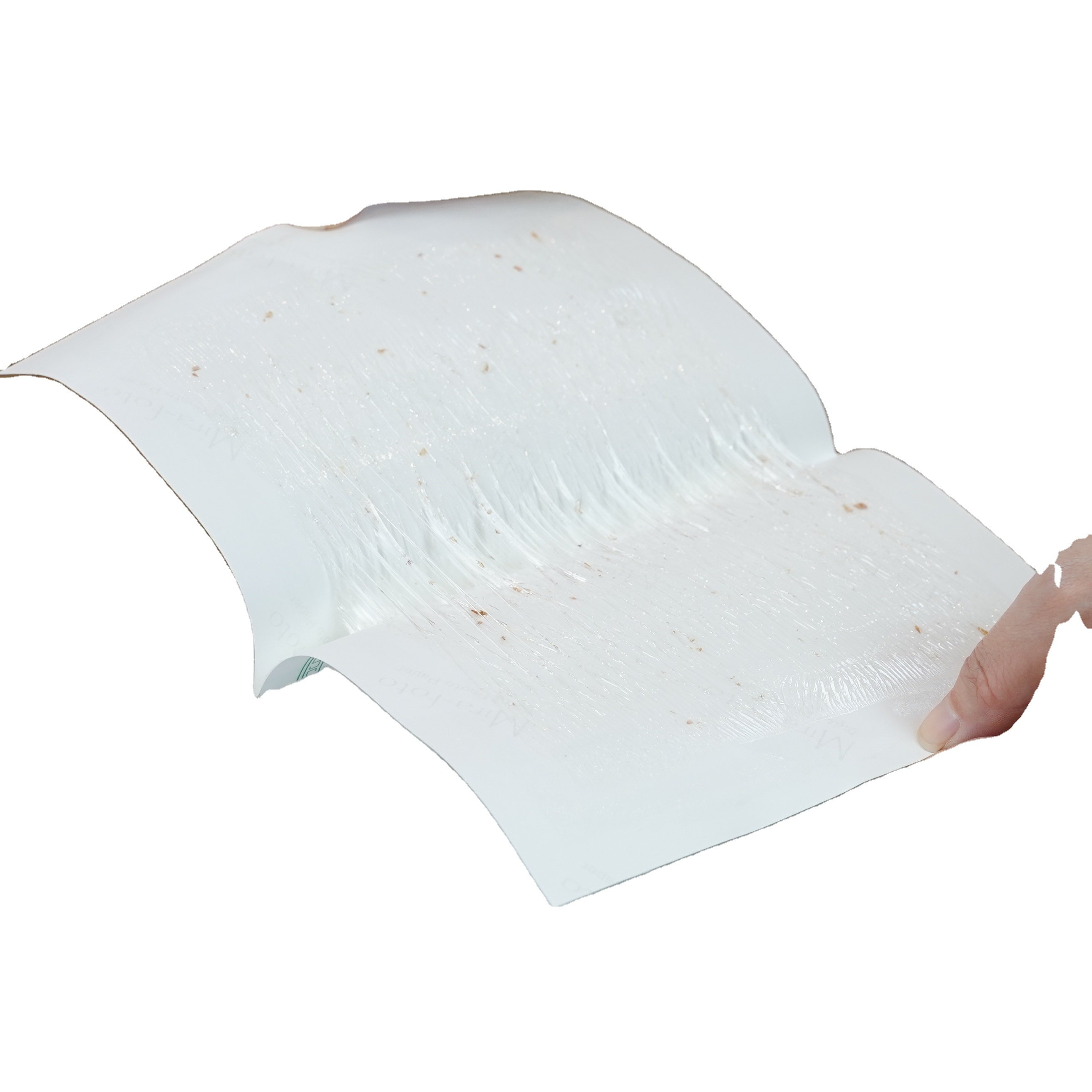 Fly glue sticker free sample glue catcher garden products uv fly trap