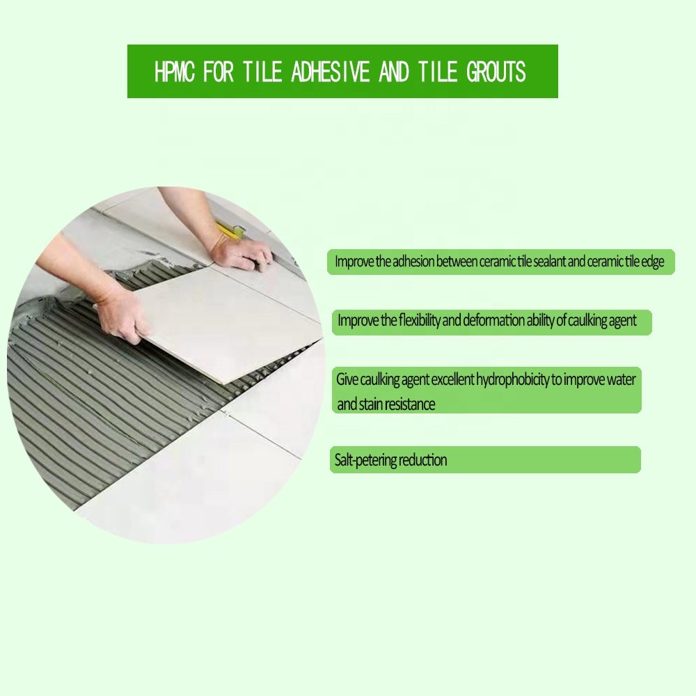 Professional Manufacturer HPMC/HEMC/CMC Cellulose Additive of Building Mortar Plaster