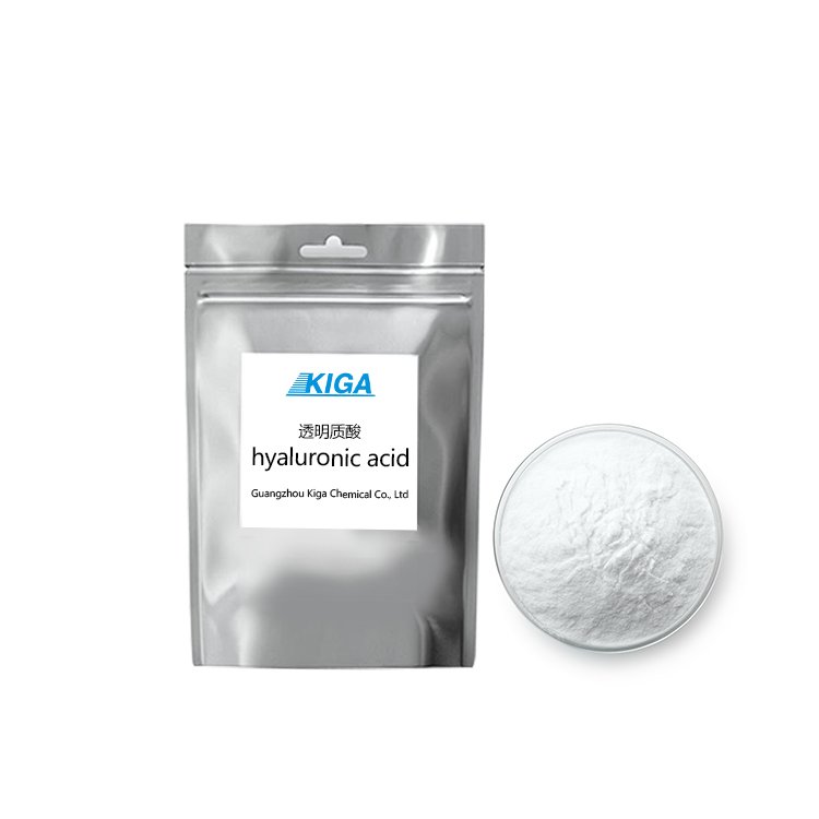 Factory price Hyaluronic Acid CAS 9004-61-9 Daily chemicals Hair Care Chemical Cosmetic Raw Materials Humectant