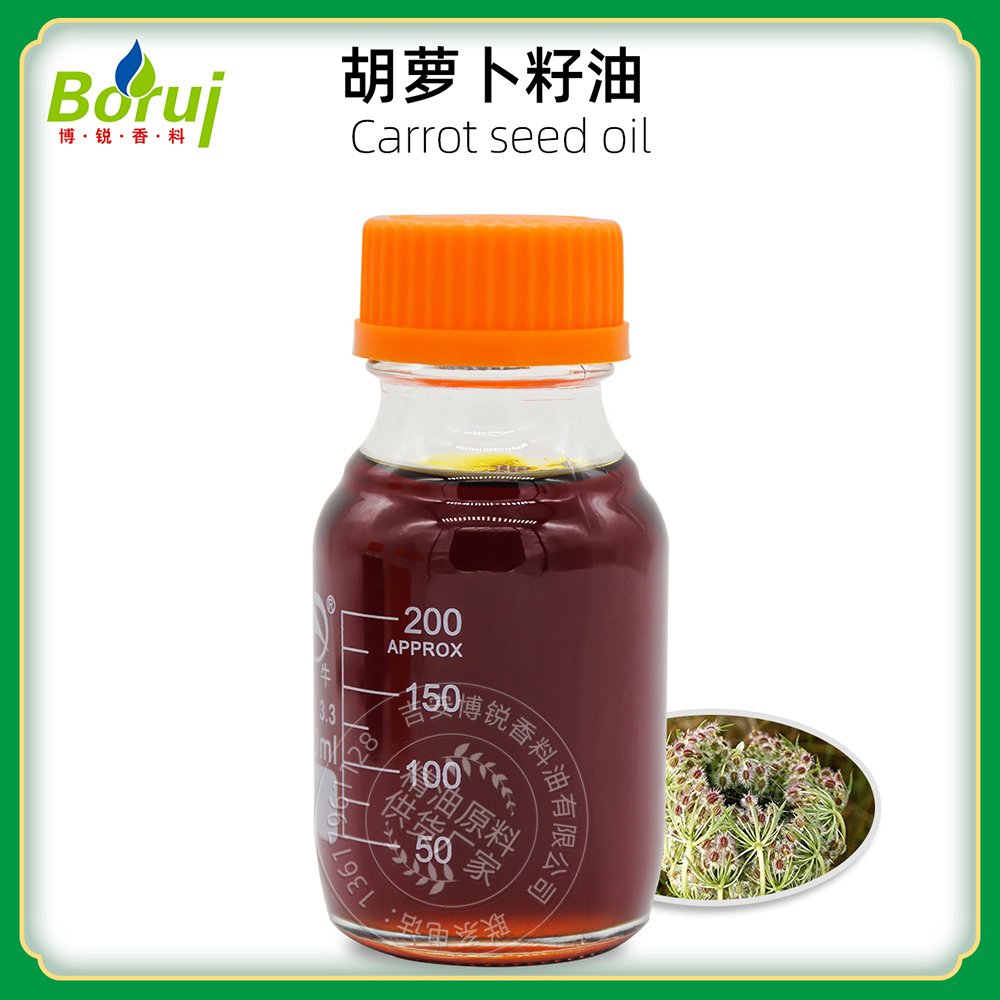 wholesale supply bulk price 100% nature pure organic carrier carrot seed essential oil