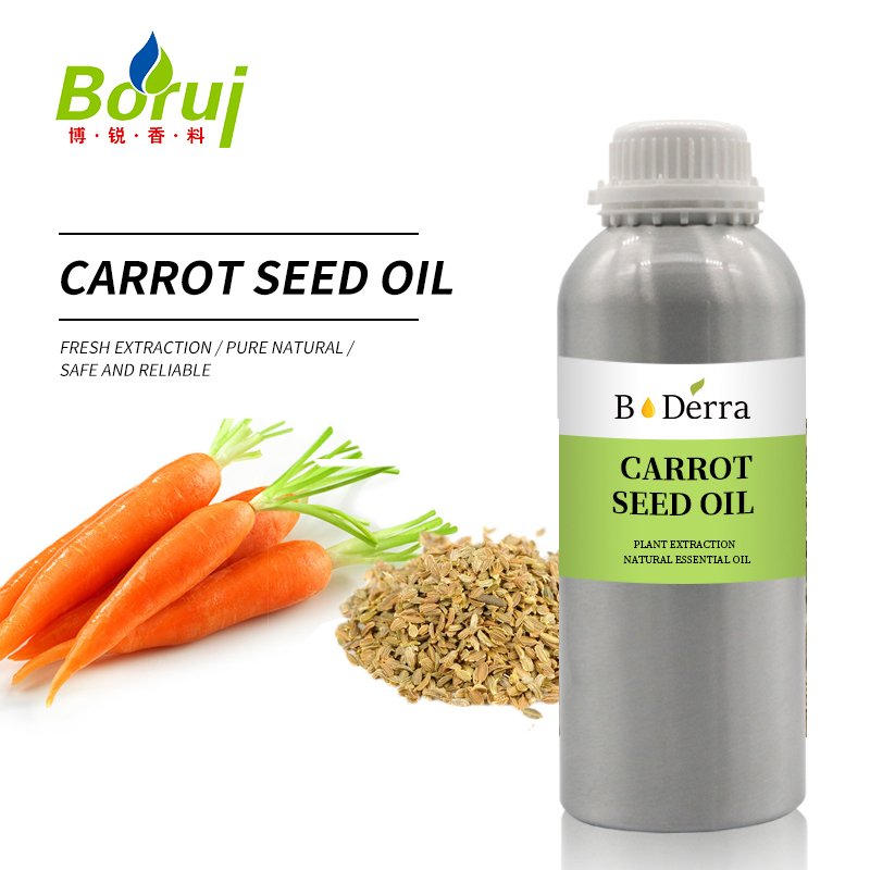 wholesale supply bulk price 100% nature pure organic carrier carrot seed essential oil