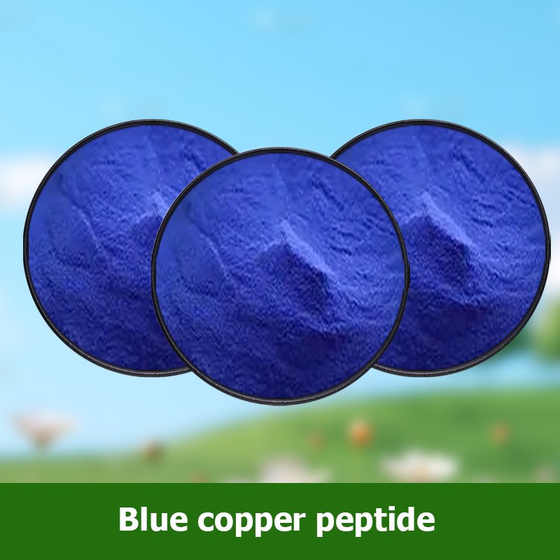 Wholesale Price Copper Peptide GHK-CU GHK Cu Copper Peptide CAS 49557-75-7
