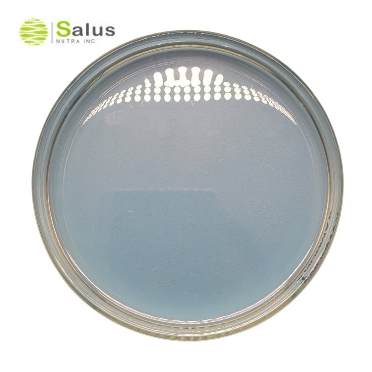 Cosmetic Daily Chemicals Raw Materials Squalane Oil Bulk Olive Squalene