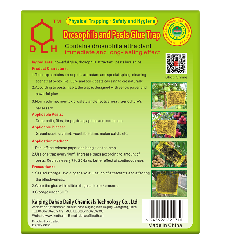 Sided Sticky Board Stick Fruit Fly
