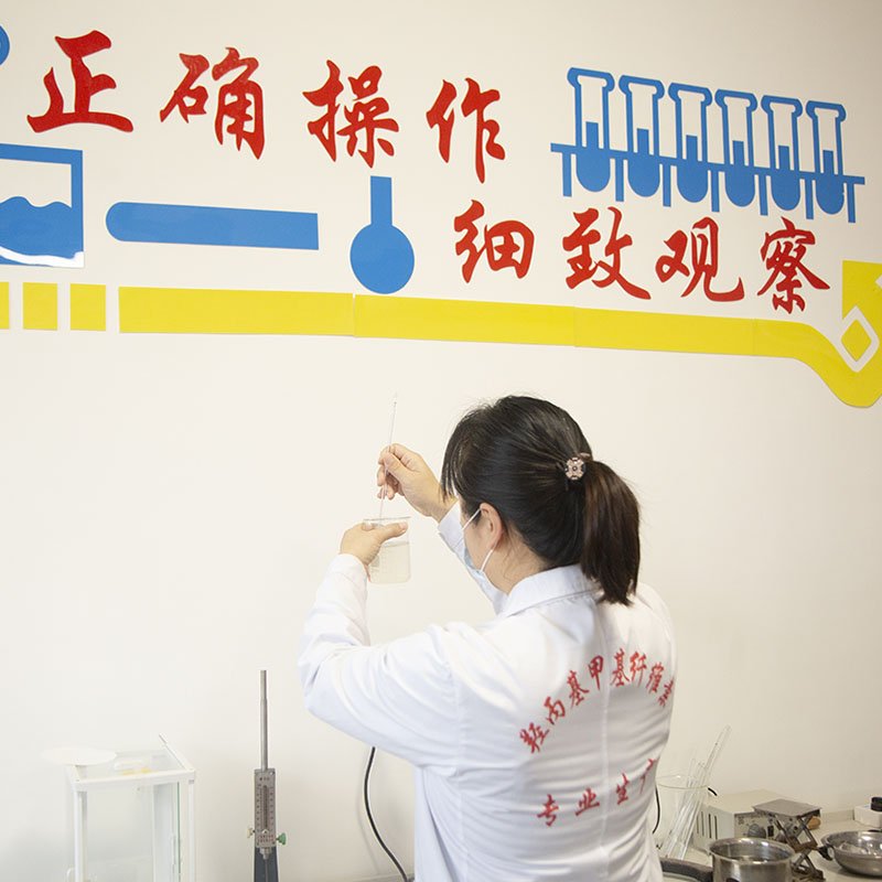 China Supplier Detergent Grade Powder Hpmc Industry Grade Chemicals Thickeners Hpmc For Daily Chemicals Liquid Detergent